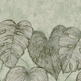 Galerie Julie Feels Home Monstera Twinwall Wall Mural