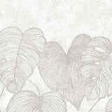 Galerie Julie Feels Home Monstera Twinwall Wall Mural