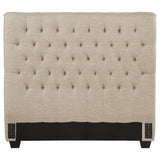 Chloe Button-Tufted Upholstered Bed or Headboard - Full