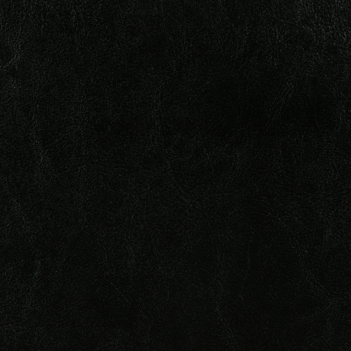 Dorian Faux Leather Upholstered Panel Bed - Padded Headboard in Black, Twin to California King – view 19