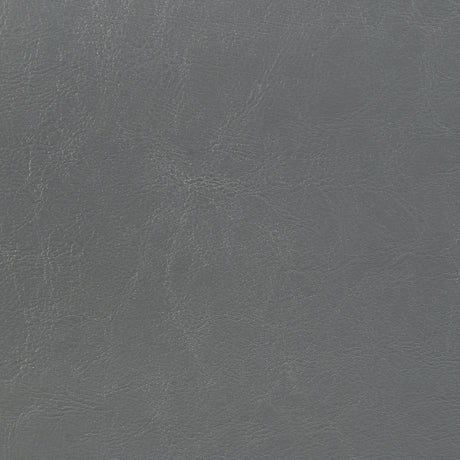 Dorian Faux Leather Upholstered Panel Bed - Padded Headboard in Grey, Twin to California King – view 19