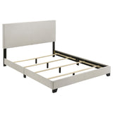 Dorian Upholstered Panel Bed with Padded Headboard - Queen