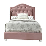 Reggie Upholstered Youth Bedroom Collection