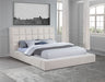 Dreux Upholstered Platform Bed with LED Reading Lights & Storage Console - Tufted Cream or Grey, Queen to California King – view 1