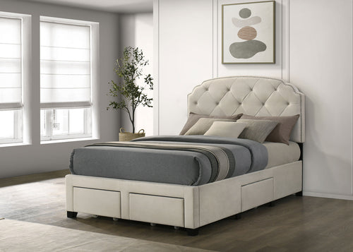 Marianna Tufted Velvet Storage Bed with 4 Drawers - Cream with Nailhead Trim, Full to Eastern King