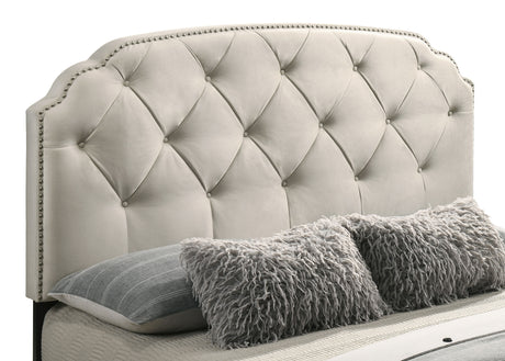 Marianna Tufted Velvet Storage Bed with 4 Drawers - Cream with Nailhead Trim, Full to Eastern King – view 15