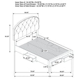Marianna Tufted Velvet Storage Bed with 4 Drawers - Cream with Nailhead Trim, Full to Eastern King – view 17