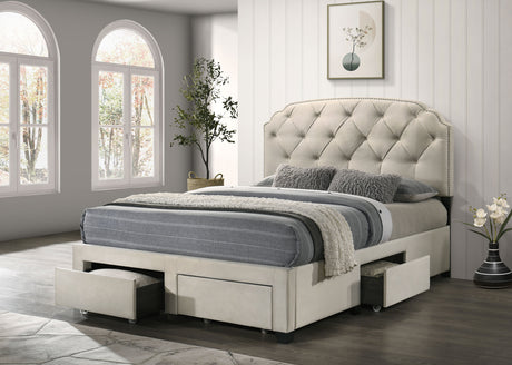 Marianna Tufted Velvet Storage Bed with 4 Drawers - Cream with Nailhead Trim, Full to Eastern King – view 18
