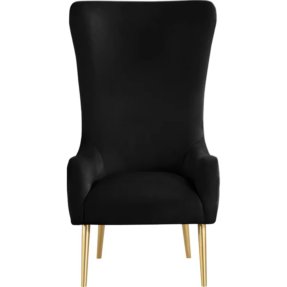 Venetian 50" High Back Tufted Velvet Accent Chair Wingback Lounge Armchair in Black - detail view