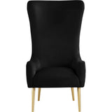 Venetian 50" High Back Tufted Velvet Accent Chair Wingback Lounge Armchair in Black - detail view