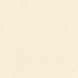Galerie Flora Plain Texture Wallpaper