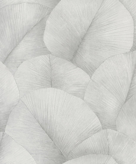 Galerie Kumano Palm Leaf Wallpaper