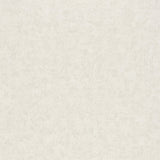 Galerie Kumano Plaster Wallpaper