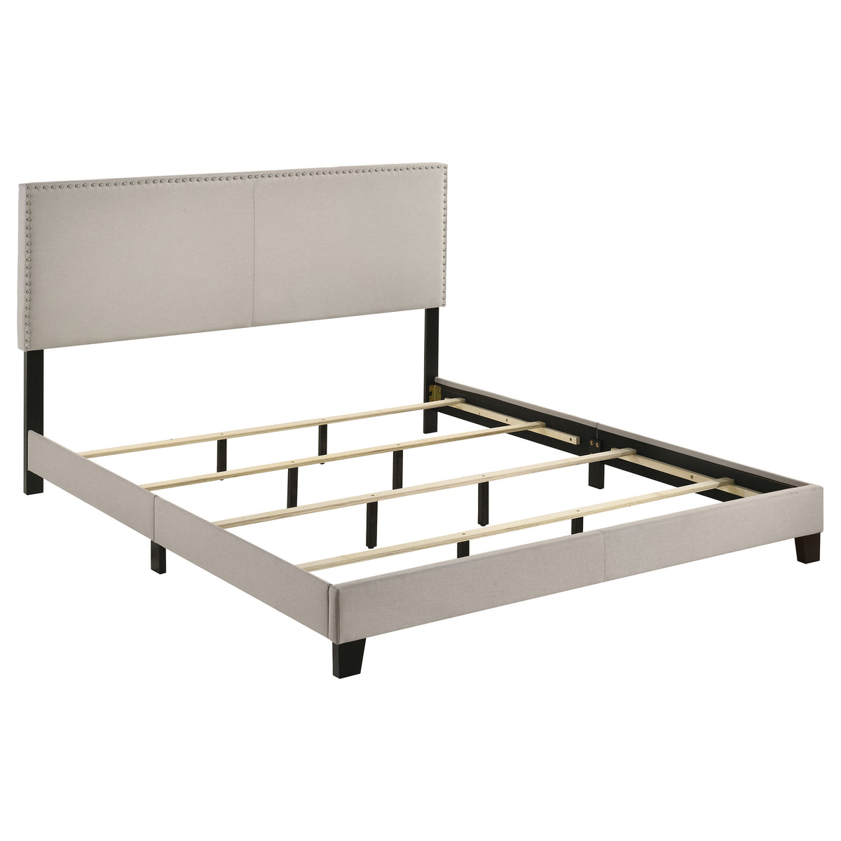 Boyd Upholstered Panel Bed with Chrome Nailhead Trim - California King