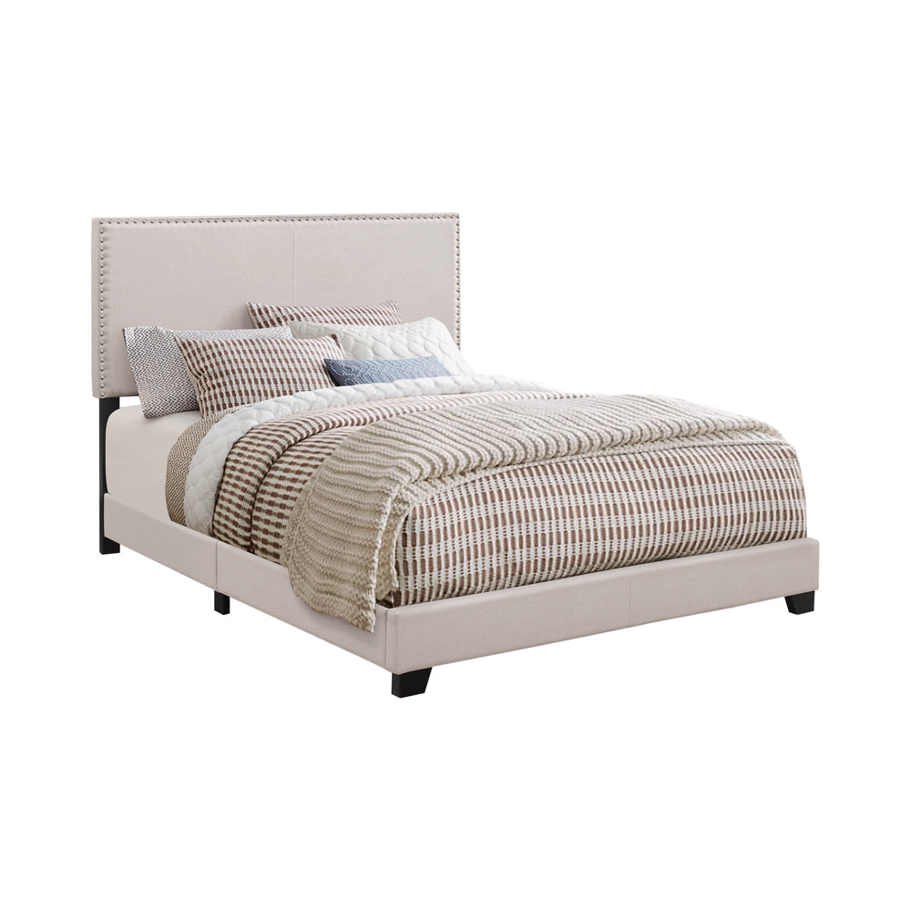 Boyd Upholstered Panel Bed with Chrome Nailhead Trim - Twin