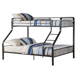 Caius Metal Bunk Bed