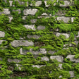 Galerie The Bricks And More Stone optic Wallpaper