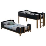 Morris Twin Over Twin Bunk Bed - Convertible Wood Frame with Panel Guardrails in Walnut & Black – view 8