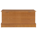 Paula Storage Chest - Classic Blanket Trunk in Honey Oak Veneer – view 9