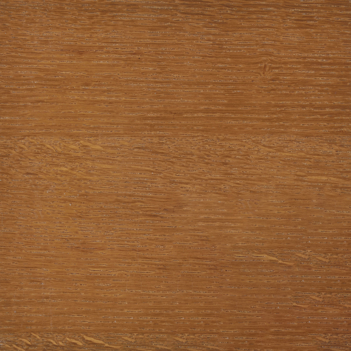 Paula Storage Chest - Classic Blanket Trunk in Honey Oak Veneer – view 12