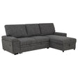 Demko Sleeper Sectional Sofa with Storage Chaise