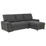 Demko Sleeper Sectional Sofa with Storage Chaise