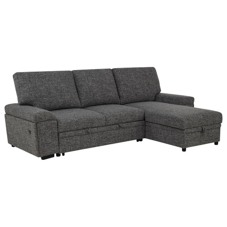 Demko Sleeper Sectional Sofa with Storage Chaise