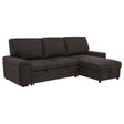 Demko Sleeper Sectional with Storage Chaise