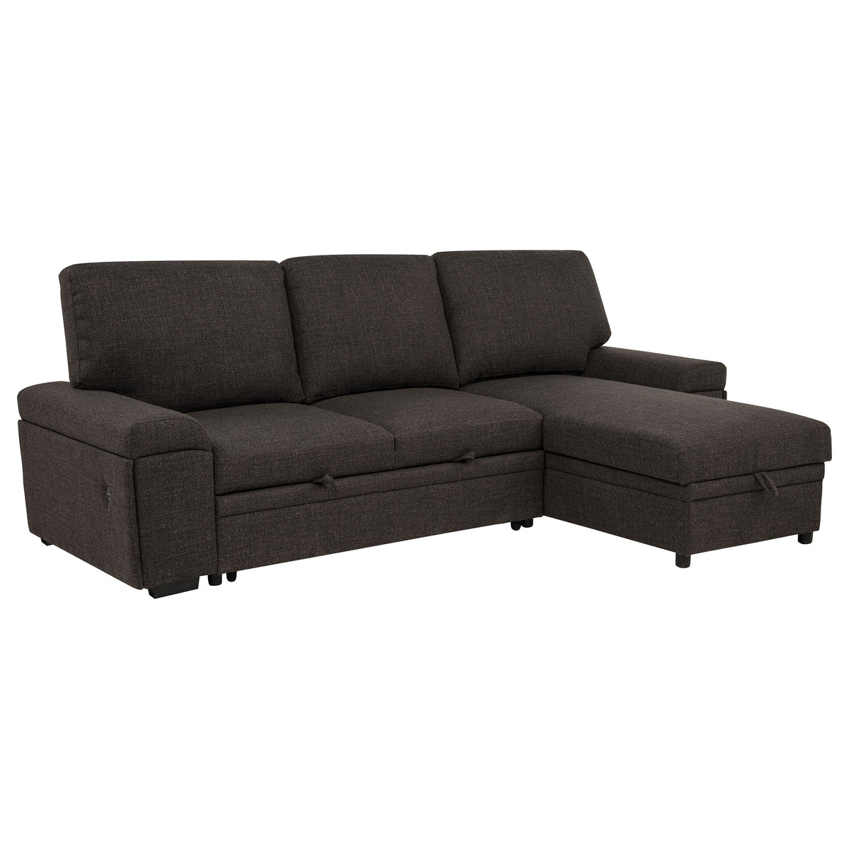 Demko Sleeper Sectional with Storage Chaise