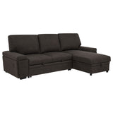 Demko Sleeper Sectional with Storage Chaise