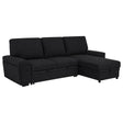 Demko Sleeper Sectional with Storage Chaise