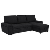Demko Sleeper Sectional with Storage Chaise