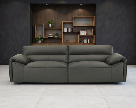 Buxton Top Grain Leather Sofa & Loveseat - Low-Profile Track Arm Design in Graphite – view 1