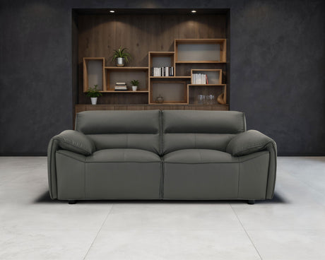 Buxton Top Grain Leather Sofa & Loveseat - Low-Profile Track Arm Design in Graphite – view 2
