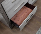 Raiden Queen Bedroom Set with Integrated LED Lighting and USB Charging - Transitional & Brushed Gray Finish