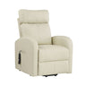 Ricardo Power Lift Recliner