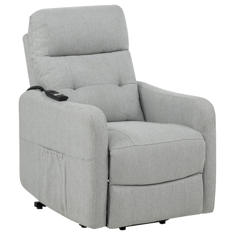Dayes Power Lift Recliner Chair