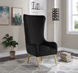 Venetian 50" High Back Tufted Velvet Accent Chair Wingback Lounge Armchair in Black - front view