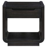Leandro Coffee Table, End Table & Sofa Console - Burnished Black Ash with Drawers & Open Shelves – view 16