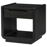 Leandro Coffee Table, End Table & Sofa Console - Burnished Black Ash with Drawers & Open Shelves – view 17