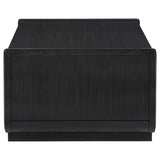 Leandro Coffee Table, End Table & Sofa Console - Burnished Black Ash with Drawers & Open Shelves – view 9
