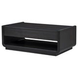 Leandro Coffee Table, End Table & Sofa Console - Burnished Black Ash with Drawers & Open Shelves – view 12