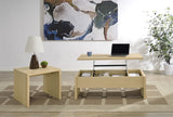Canoga Lift-Top Coffee Table & End Table Sets - Light Oak with Hidden Storage & U-Shaped End Table – view 15