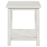 Payne Coffee Table, End Tables & Console - Farmhouse Distressed White with Lower Shelves – view 17