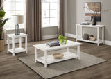Payne Coffee Table, End Tables & Console - Farmhouse Distressed White with Lower Shelves – view 15