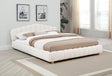 Ctera Queen Velvet Bed Frame with 30" Shell-Shaped Headboard, Low Profile in Cream - front view