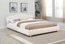 Ctera Queen Velvet Bed Frame with 30" Shell-Shaped Headboard, Low Profile in Cream - front view