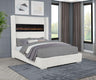 Uphoria Rabbit Velvet Modern Upholstered Queen Bed - front view - Cream