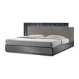 Romania LED Platform Bed in Black Lacquer and Zebra Gray