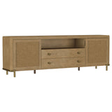 Arini 79" TV Stand - 
